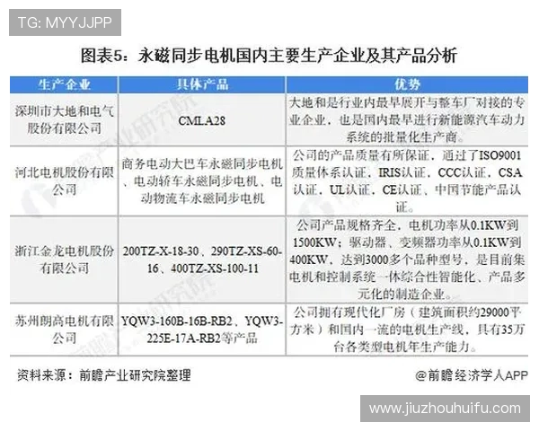 蓝盾娱乐公司在网络游戏行业中的市场战略与未来发展趋势分析